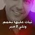 شاب مامي