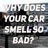 Tophype Jokes Why Does Your Car Smell