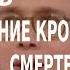 ACADEMIA Михаил Пантелеев Свертывание крови жизненно необходимо смертельно опасно Канал Культура
