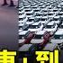 從 爆炸車 到 降價王 新能源內卷崩潰瘋狂降價 質量堪憂