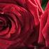Beautiful Melodies That Will Make You Cry The Most Beautiful Spring Melodies Sergey Grischuk 2