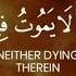 Surah Al A La 19 Verses English Translation