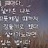 손현희 나그네 새