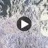 ЗИМА Красивые Пожелания и поздравления друзьям с зимой Хрустальная музыка зимы Супер видео открытка