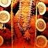 श र द र ग सप तशत स प र ण Shree Durga Saptshati Full In Hindi By Anuradha Paudwal I Navdurga Stuti