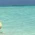 Memories Paraiso Beach Resort Cuba