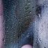 Teardrops Original Mix