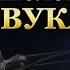 ПСИХОЛОГИЯ ЗВУКА Леонид Овруцкий и Татьяна Другова психология отношения влияниемузыки силазвука