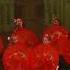 Kirova Ballet Academy The Nutcracker CHINESE DANCE