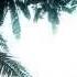 The Presets If I Know You Alex Kentucky Ivan Garci Edit