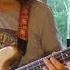 Cold Cuts Albert Collins And The Icebreakers