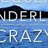 Lost Frequencies Zonderling Crazy Long Version