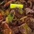 Make Your Own DELICIOUS Beef Steak Stir Fry In Just 30 Minutes Better Than Takeout