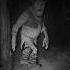 The Mysterious Horror Side Of Shrek Scary Shortfeed