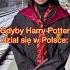 Gdyby Harry Potter Dział Się W Polsce