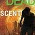 Robert Kirkman S The Walking Dead Descent The Walking Dead Series 5 Jay Bonansinga