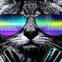 ONLY REMIX BOOTLEG MASHUP DANCE MIX LIVE DJ CARYSMA