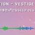 Vestige Gundam Seed Destiny