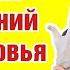 Комплекс упражнений для здоровья пальцев рук