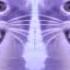 Preview 2 Numa Cat Extended 2 Effects Sponsored By Preview 2 King Shark Bus Extended Effects