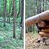 A YEAR OF CONSTRUCTION IN 30 MINUTES ONE BUILT A DUGOUT WITH HIS OWN HANDS