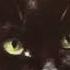 C C Catch You Shot A Hole In My Soul Maxi Version