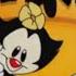 Animaniacs Reboot All Intro Jokes