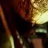 Paul Elstak Restrained Toxic People Official 4K Videoclip