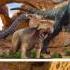 Learn Sea Animals Names And Sounds Marine Reptiles Real For Kids Fun Toddler