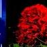 10 Minutes Ago Singer Nikolay Basov Died