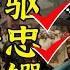历史书上的圣人 皇帝要保 钱也要搞 在墨西哥炒楼发财 老年娶18岁小妾 康有为的权力之路