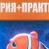ВОДНАЯ СРЕДА ОБИТАНИЯ 5 6 Солёность и всё об осмосе ЕГЭ 2025 по биологии