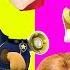 Wrong Head Mouth Paw Patrol Finger Family Song Colors For Kids