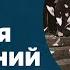 любовь НЕ ГАРАНТИЯ счастливых отношений
