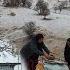 Heavy Snow And The Hardship Of Nomads To Cover The Expenses Of Baking Bread For Others