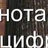 Баксанская разбор с цифрами