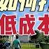 北美生活vlog 在美国如何低成本打造豪宅花园 休斯顿别墅花园改造