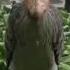 Bird Staring Meme Shoebill