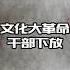 1968年10月 文化大革命干部下放 历史 中国历史 近代史 文化大革命 文革 政治 历史解说 历史那些事 毛泽东 红卫兵