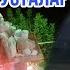 ЭШШАГИ БОР ОИЛАДА ТУНДАГИ ХОЛАТ ОХУНОВ ТВ