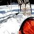 EXTREME COLD Winter Solo Overnight Bushcraft Camp Cooking Survival HD Video