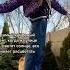 Весна весна2023 весна Dog Shortsvideo Shorts Popular Recommended Spring