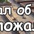 Мой идеальный огород разочаровал меня Что пошло не так