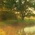 Beautiful Instrumental Hymns That Are Relaxing And Peaceful