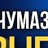 Чумазое лицо Выборга