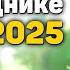 План работ на винограднике ИЮНЬ 2025
