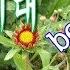 녹색지대 5곡연속듣기 가사포함