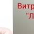 Мастер класс Витражная роспись стекла Лесной бокал