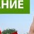 Кожа на голодании Прыщи псориаз сыпь Очищение голоданием