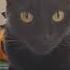 О чём ты думаешь скажи Тебя понять я обещаю Сестры Базыкины Кошка Cat Short Shorts Cat